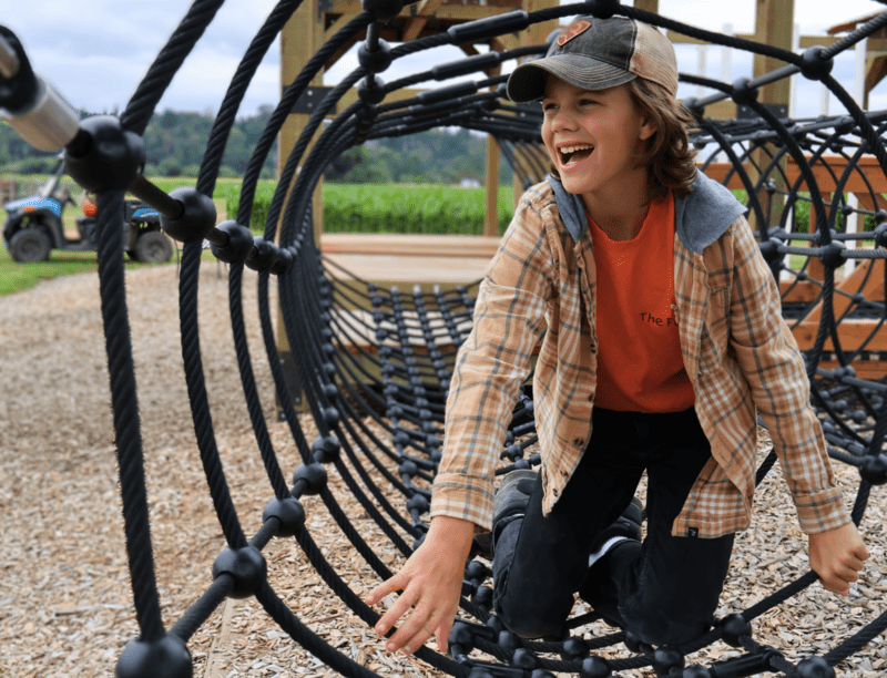 Low Ropes Play Area