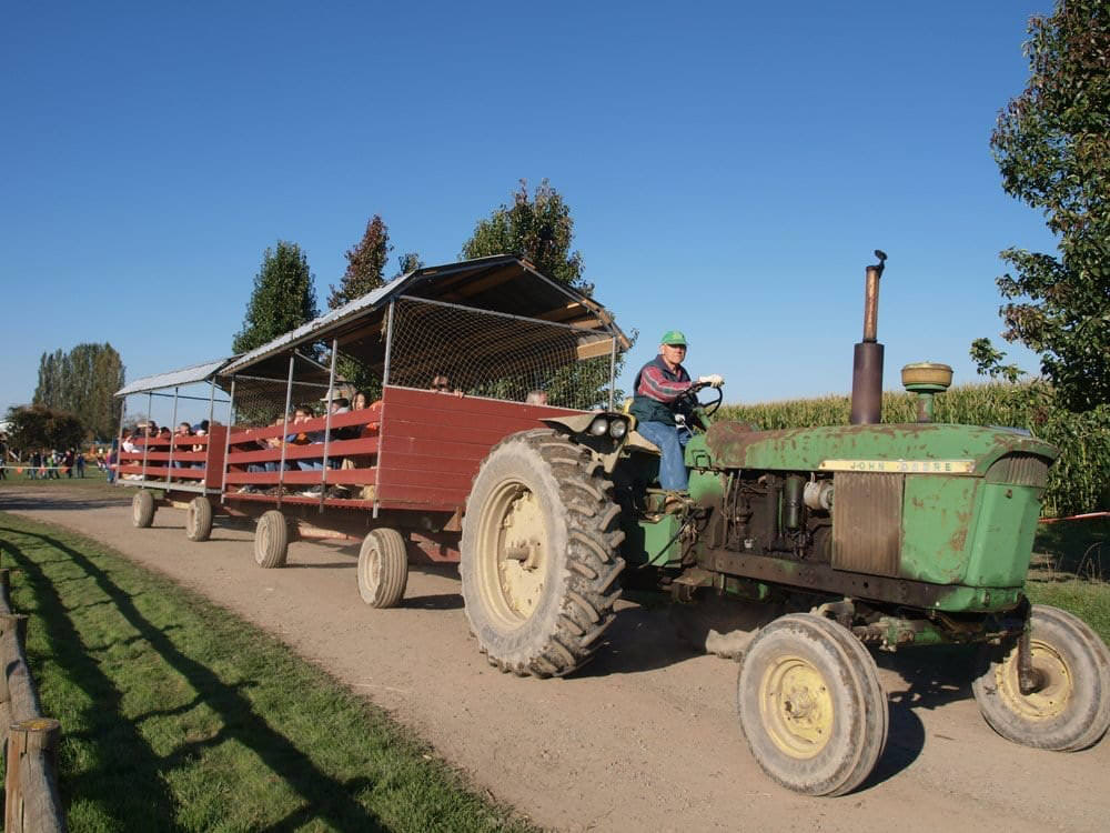 Wagon Hay Rides