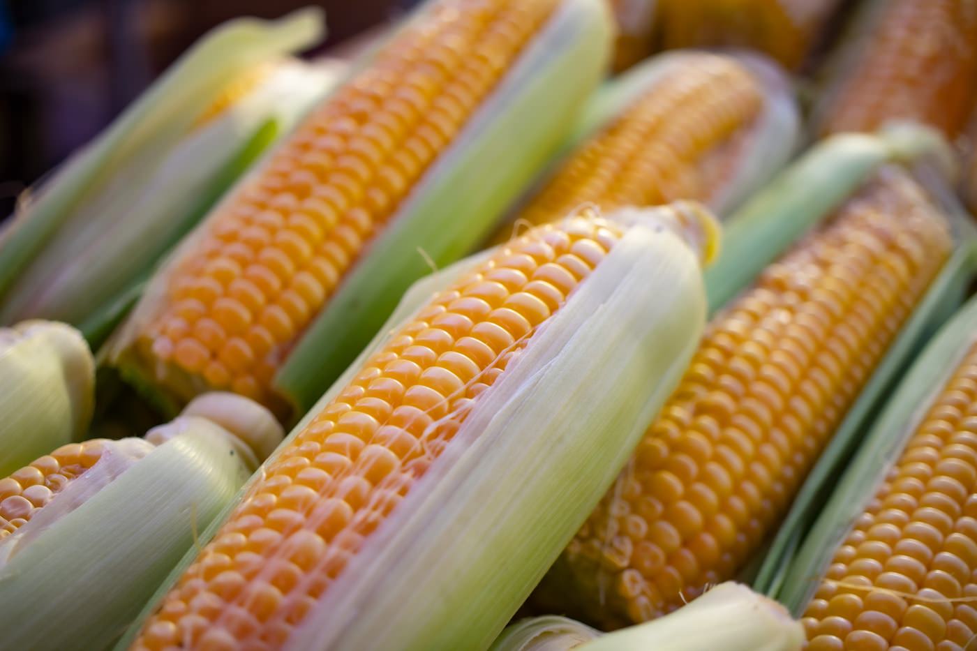 A-maizing Corn