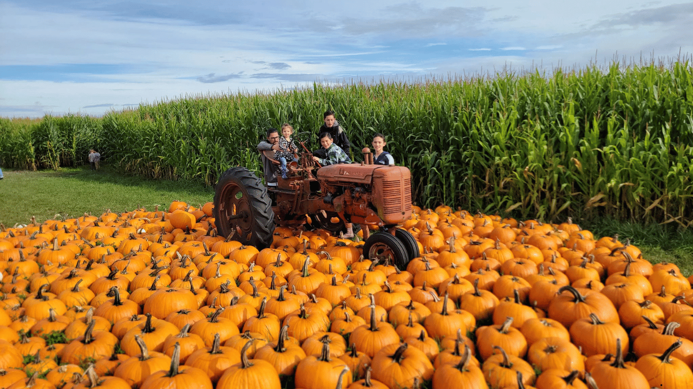 Harvest Festival