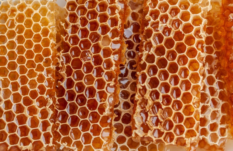 Pure Raw Local Organic Honey